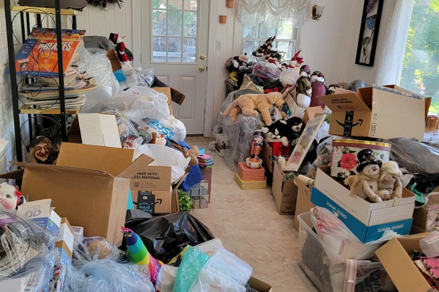Sunroom before organizing